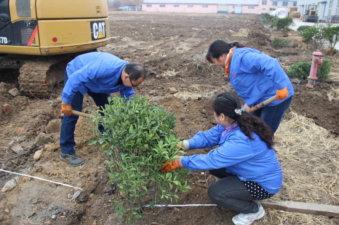 植樹2.jpg