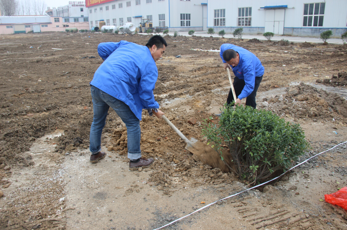 植樹1.jpg